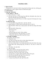 Tài liệu về bệnh thương hàn