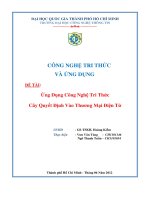 Ứng Dụng Công Nghệ Tri Thức Cây Quyết Định Vào Thƣơng Mại Điện Tử