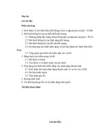 Mô hình thống kê của sự biễu diễn đối tượng