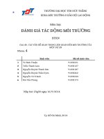 Báo Cáo Các vấn để quan trong liên quan đến môi trường của một dự án