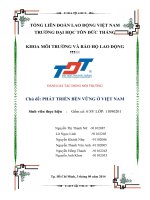 Báo Cáo Đánh giá tác động môi trường Phát triển bền vững ở Việt Nam