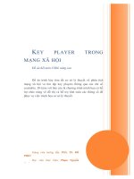 Tiểu luận môn cơ sở dữ liệu nâng cao KEY PLAYER TRONG MANG XÃ HỘI