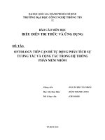 ONTOLOGY TIẾP CẬN ĐỂ TỰ ĐỘNG PHÂN TÍCH SỰ TƯƠNG TÁC VÀ CỘNG TÁC TRONG HỆ THỐNG PHẦN MỀM NHÓM