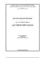 Tiểu luận LẬP TRÌNH SYMBOLIC LẬP TRÌNH TRÊN MAPLE