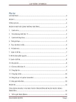 Áp dụng thiết kế chương trình bằng maple để giải quyết bài toán