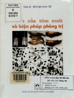Bệnh của tôm nuôi và biện pháp phòng trị