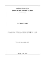 Thạch luận các đá granitoid phức hệ vân canh