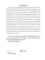 Tiểu Luận Tìm hiểu về Polymer