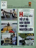Hướng dẫn xử lý và bảo quản tôm sú nguyên liệu