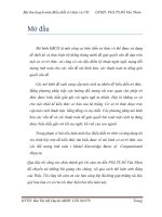 Tiểu luận môn Biểu diễn tri thức và ứng dụng Mô hình tri thức về các đối tượng tính toán