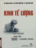 Giáo trình Kinh tế lượng