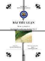 Lý thuyết và ứng dụng độ co giãn cung cầu trong thực tế