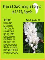Phân tích SWOT nông hộ trồng cà phê ở Tây Nguyên