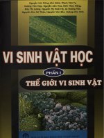 Vi sinh vật học. Phần I - Thế giới vi sinh vật