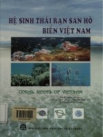 Hệ sinh thái rạn san hô biển Việt Nam
