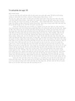 Tả cảnh phiên chợ ngày tết