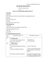 Vệ sinh phòng bệnh cho gà