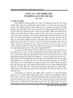 CÔNG TÁC CHỦ NHIỆM LỚP Ở TRƯỜNG DÂN TỘC NỘI TRÚ