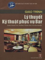 Giáo trình Lý thuyết kỹ thuật phục vụ Bar