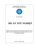 Nghiên cứu cấu trúc địa chất, đánh giá tiềm năng dầu khí và thiết kế giếng khoan tìm kiếm trên cấu tạo A, thuộc lô 102 bể trầm tích Sông Hồng
