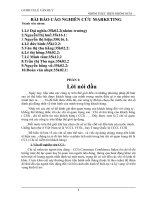 BÀI BÁO CÁO NGHIÊN CỨU MARKETING