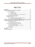 Quản trị chất lượng Six Sigma và việc áp dụng nó vào trong các doanh nghiệp Việt Nam