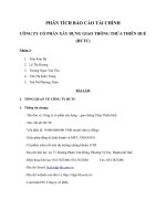 PHÂN TÍCH BÁO CÁO TÀI CHÍNH CÔNG TY CỔ PHẦN XÂY DỰNG GIAO THÔNG THỪA THIÊN HUẾ(HCTC)