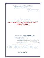 skkn PHỤC HỒI DỮ LIỆU HIỆU QUẢ BẰNG HIREN’S BOOT