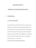 Tiểu Luận Những đặc trưng trong chính sách thương mại EU