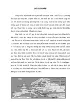 Tiểu Luận Vài nét về chính sách đối ngoại của Thụy Điển