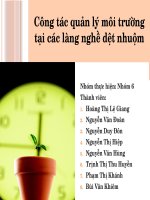 công tác quản lý môi trường tại các làng nghề dệt nhuộm