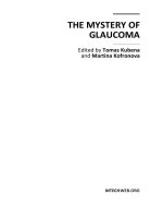 The Mystery of Glaucoma