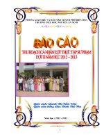 Báo cáo thực tập Sư phạm Tiểu học đợt II.