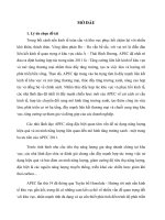 Báo Cáo Diễn đàn hợp tác kinh tế Châu Á – Thái Bình Dương (APEC) và sự tham gia, đóng góp của Việt Nam