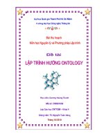 Tiểu luận môn Nguyên lý và phương pháp lập trình Lập trình hướng ontology