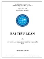 Tiểu Luận An toàn lao động trong công nghệ hóa học