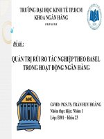 QUẢN TRỊ RỦI RO TÁC NGHIỆP THEO BASEL TRONG HOẠT ĐỘNG NGÂN HÀNG
