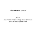 SKKN So sánh chuẩn KT-KN với nội dung SGK và cách soạn giảng bài Đột biến gen