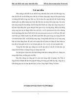 Báo cáo Kiến trúc máy tính tiên tiến Đề tài Interconnection Networks
