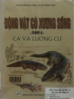 Động vật có xương sống. Tập 1- Cá và lưỡng cư