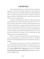 Kế toán xác định kết quả kinh doanh và phân phối lợi nhuận tại công ty TNHH tin hoc Cao Nguyên Net