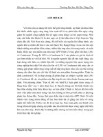 báo cáo thực tập CÔNG TY KHÍ VIỆT NAM VÀ NHÀ MÁY CHẾ BIẾN KHÍ DINH CỐ