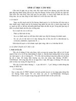 SINH LÝ HỌC CẦM MÁU