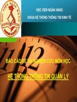 BÁO CÁO ĐỀ TÀI NGHIÊN CỨU MÔN HỌC HỆ THỐNG THÔNG TIN QUẢN LÝ HÀM TÀI CHÍNH VÀ CƠ SỞ DỮ LIỆU TRONG MICROSOFT OFFICE EXCEL