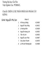 Chủ đề CHIẾN LƯỢC PHÂN PHỐI SẢN PHẨM CÂY KIỂNG