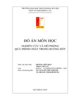 Nghiên cứu và mô phỏng quá trình cháy trong buồng đốt