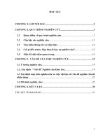 Tiểu luận môn phương pháp nghiên cứu khoa học VẤN ĐỀ CỦA VIỆC NGHIÊN CỨU