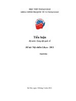 Tiểu Luận Tiểu luận Bộ môn Xung đột quốc tế  Nội chiến Libya - 2011