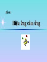 tiểu luận; Hiệu ứng cảm ứng