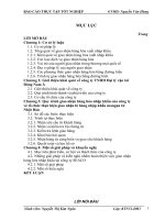 Quy trình giao nhận hàng hóa nhập khẩu của công ty vè tổ chức thực hiện giao nhận lô hàng nhập khẩu mangan từ Nhật Bản